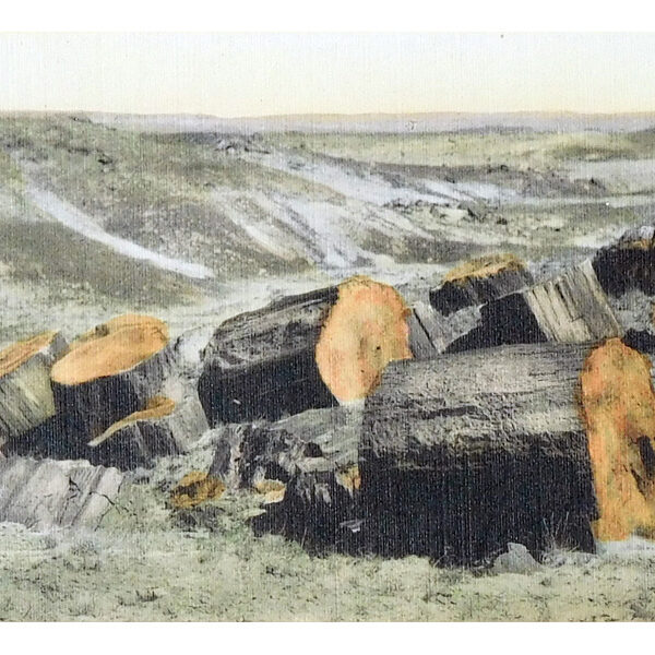 GandaraJoe_untitledLandscape_ca1927_4x6_handpaintedphoto_$80_w