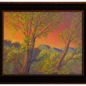 PetersenVincent_SeBrotaran_(TheyWillSprout)_2019_i16x20_20x24_ac_$475F-w