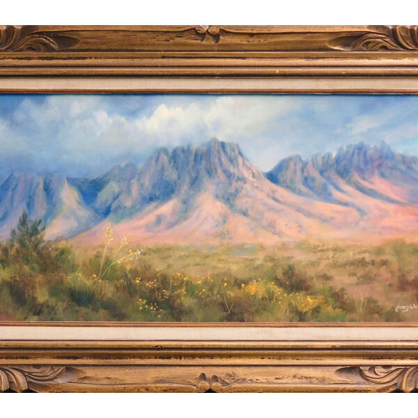 11_Jonzee_OrganMoutains_1990s_i15x30_f23x38_oc_$1000F_w